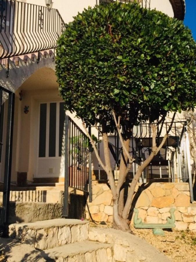 One Bed Apartment Overlooking Jalon Valley, Costa Blanca Alcalalí Eksteriør bilde