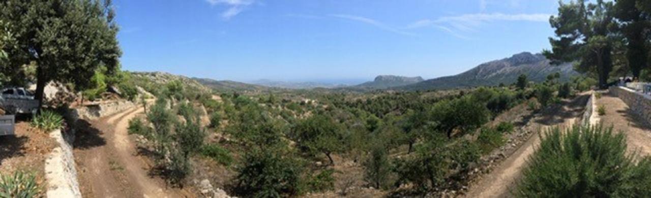 One Bed Apartment Overlooking Jalon Valley, Costa Blanca Alcalalí Eksteriør bilde