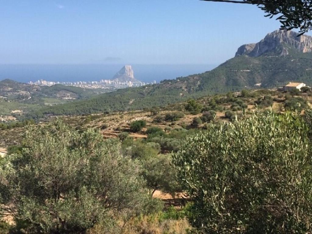 One Bed Apartment Overlooking Jalon Valley, Costa Blanca Alcalalí Eksteriør bilde